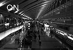 Okina USA Digital Noise Redution